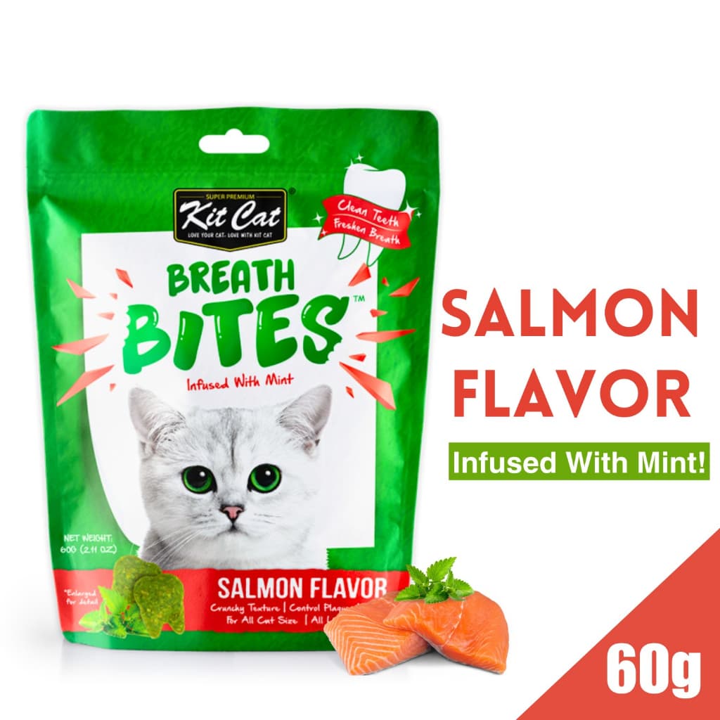 Kit Cat Treats Kitty Crunch/Breath Bites for Adult/Kitten, 60g KitCat Dental Snacks - Breath Salmon variant