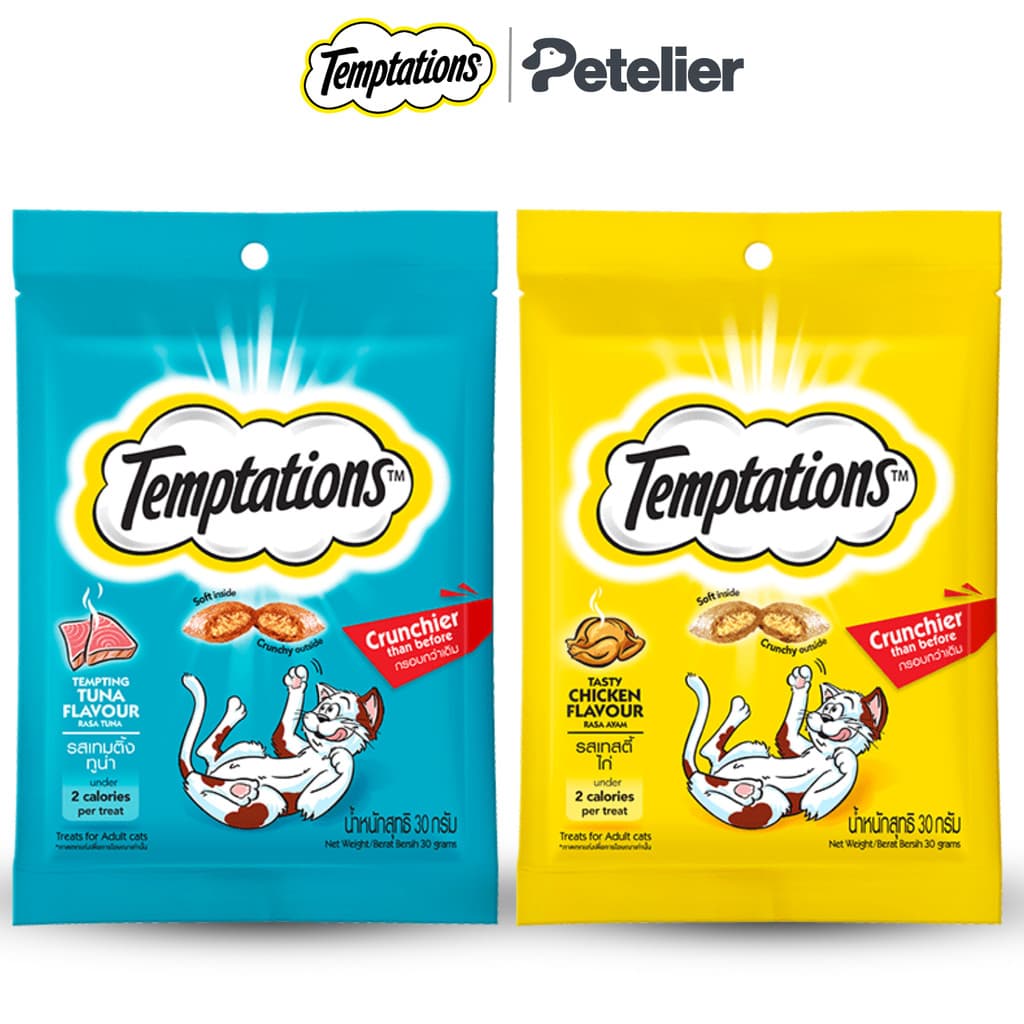 Temptations Soft & Crunchy Cat Treats for Adult 30g
