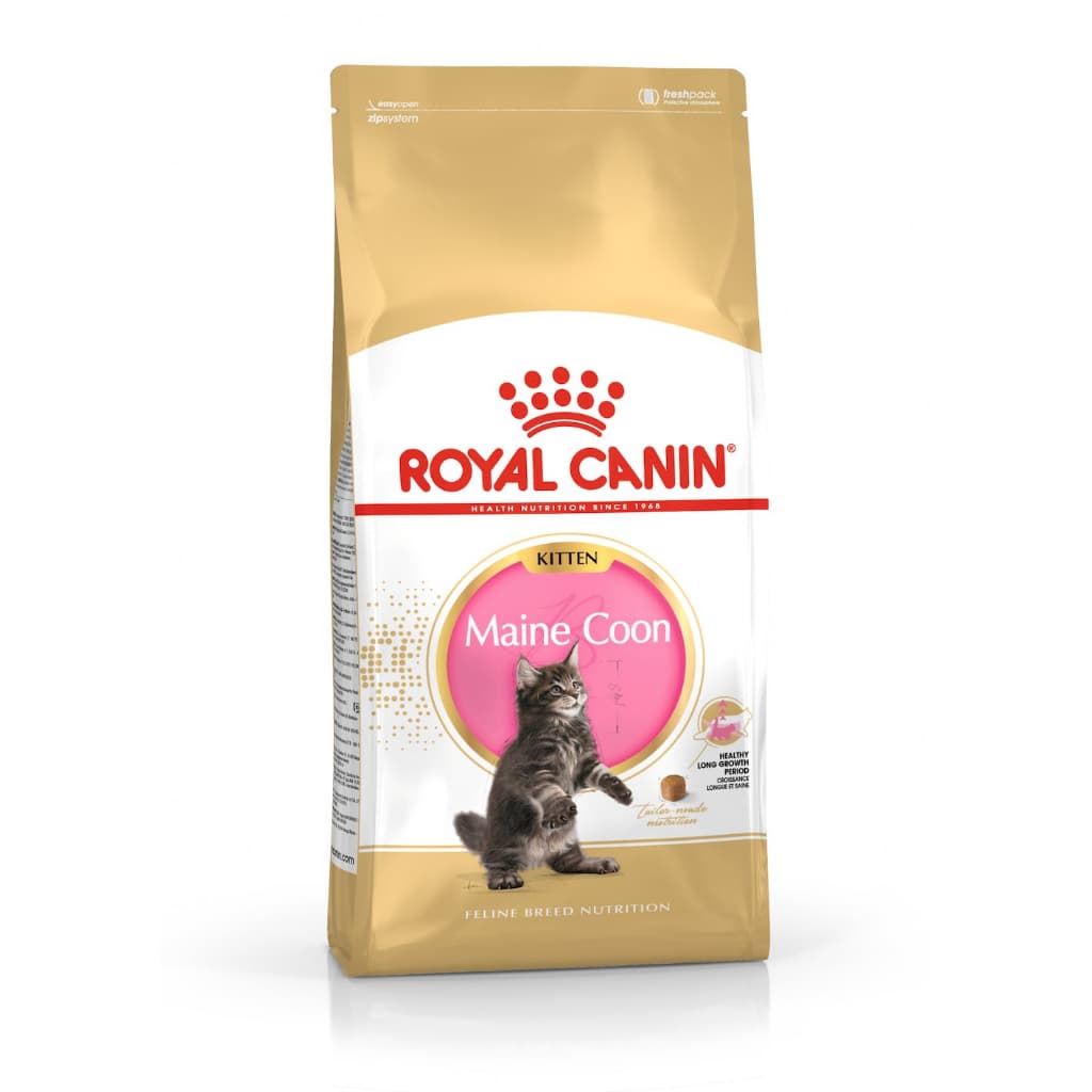 Royal Canin Maine Coon Adult/Kitten Dry Cat Food 2kg - Kitten 2kg variant