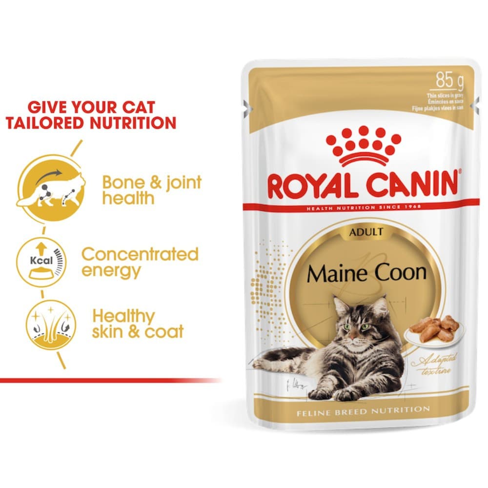 Royal Canin Wet Cat Food 85g Intense Beauty/Urinary/Hairball Care/Insintctive/Kitten Pouch - Pouch MaineCoon variant