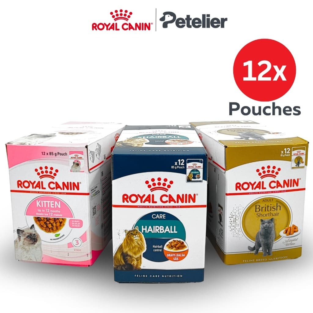 Royal Canin Wet Cat Food Box, 12 pouches Intense Beauty/Urinary/Hairball Care/Insintctive/Kitten