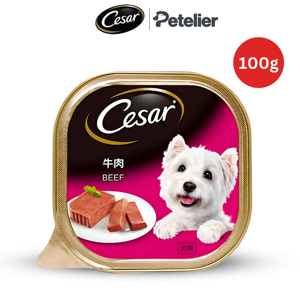 Cesar Classic Tray Wet Dog Food 85g and 100g for Adult - Beef 100g variant